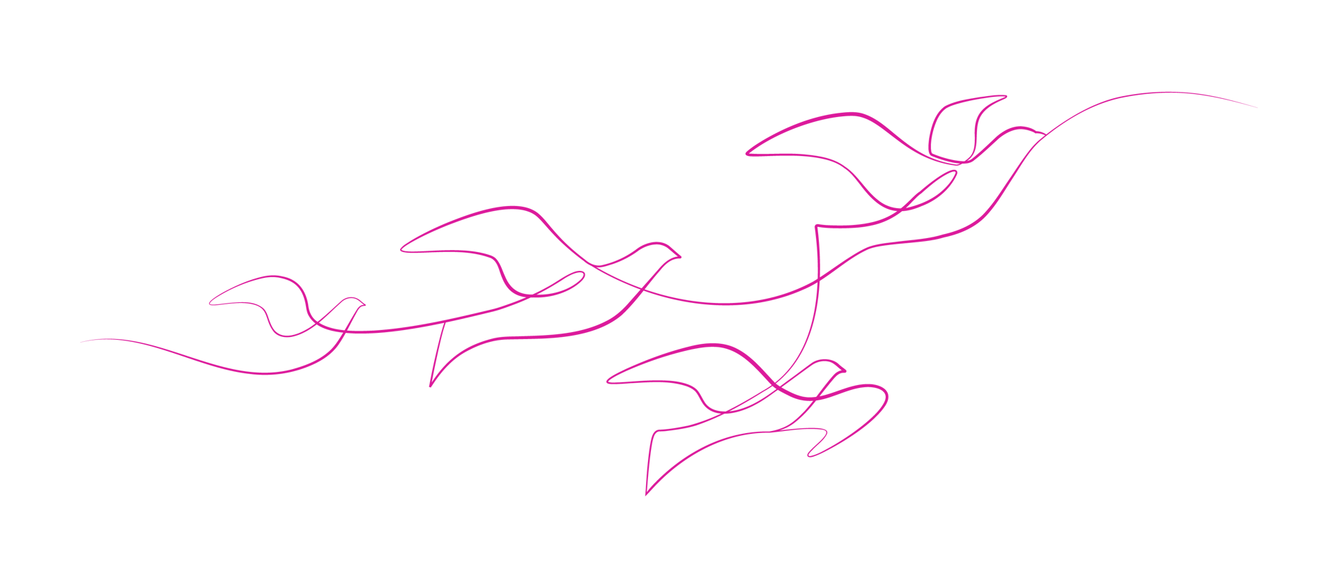 Illustration showing a flight of birds